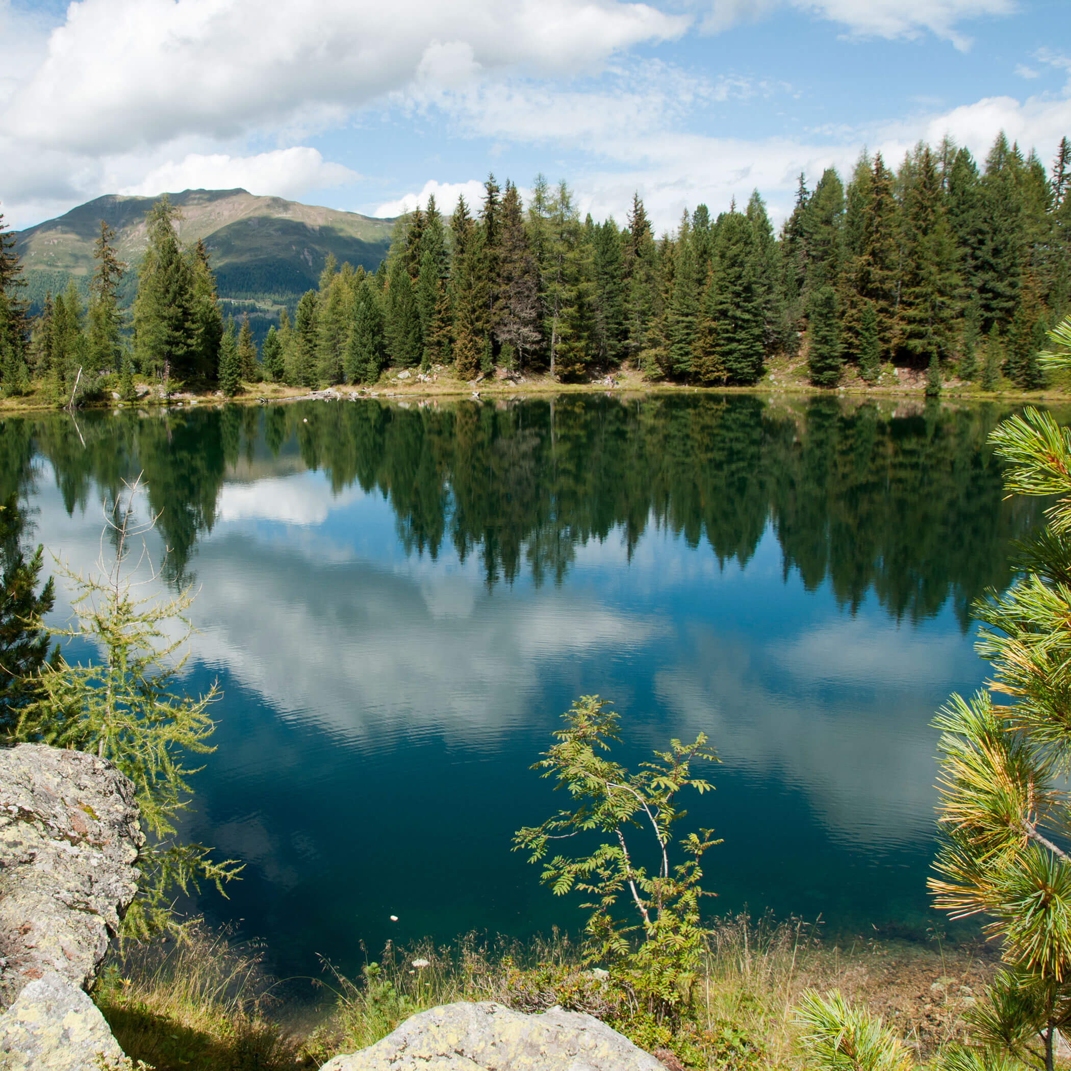 Wengsee in Mühlwald im Sommer - Hotel Mühlwald